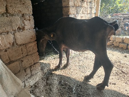 थंबनेल 3