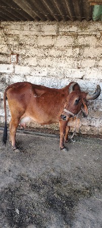 थंबनेल 2