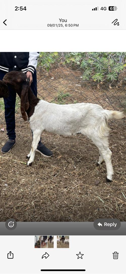 थंबनेल 2