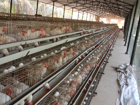 થંબનેલ 3