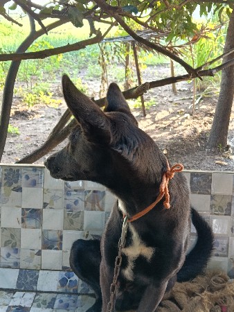 થંબનેલ 2