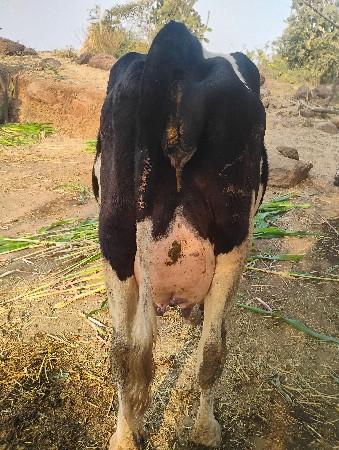 थंबनेल 2