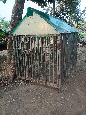 ડોગ પાજરુ વેચવા નુ છે