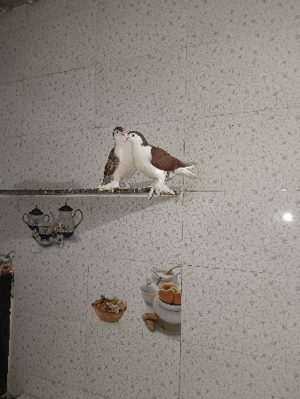 थंबनेल 2