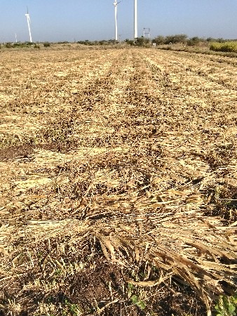 વેચવાની છે