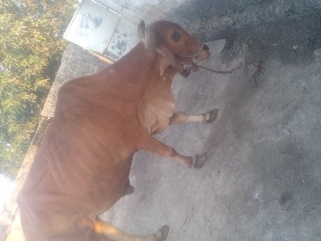 थंबनेल 3