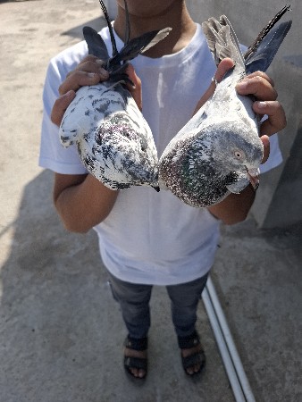 थंबनेल 2