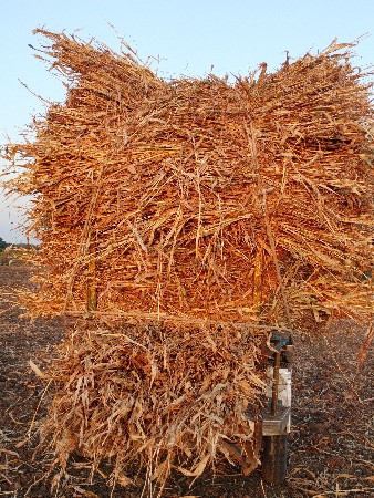 નીરણ વેચવાની છે