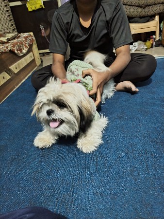 થંબનેલ 3