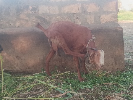 थंबनेल 2