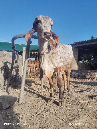 थंबनेल 3