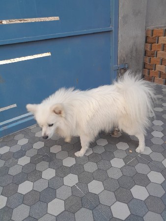 थंबनेल 3