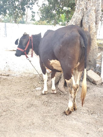 थंबनेल 5