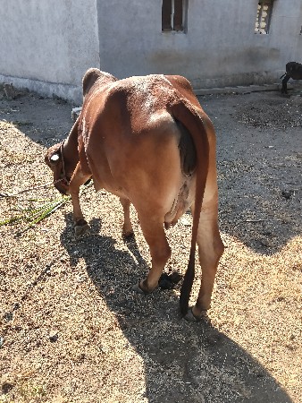 थंबनेल 2