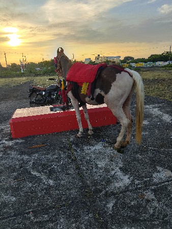 थंबनेल 2