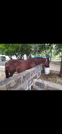 Kudi Mainu Porbandar ki Mata.