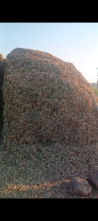 સારો વેસવા નો છે કિમત સે ૨૪૦૦૦