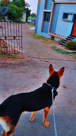 थंबनेल 2