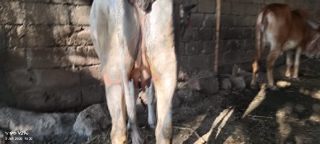 थंबनेल 3