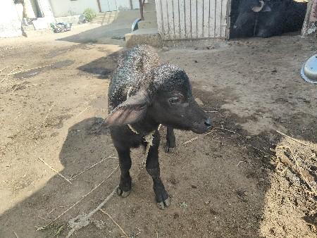 થંબનેલ 3