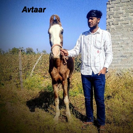 थंबनेल 3