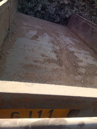 ટોલી વેસવાની છે