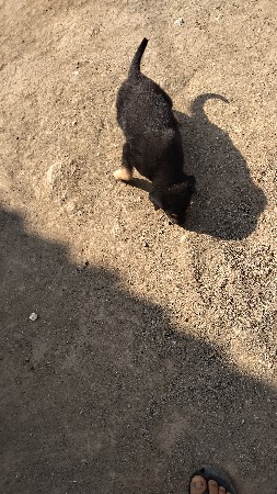 વેચવા નુ છે