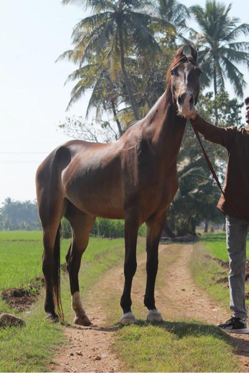 थंबनेल 2