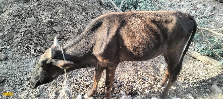 ખાતર વેચવાનું છે