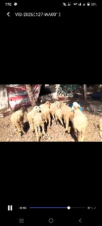 थंबनेल 2