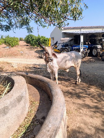 थंबनेल 3