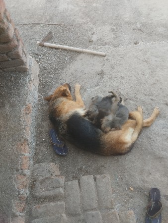 थंबनेल 2