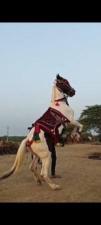 थंबनेल 3