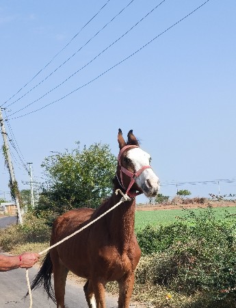 थंबनेल 2