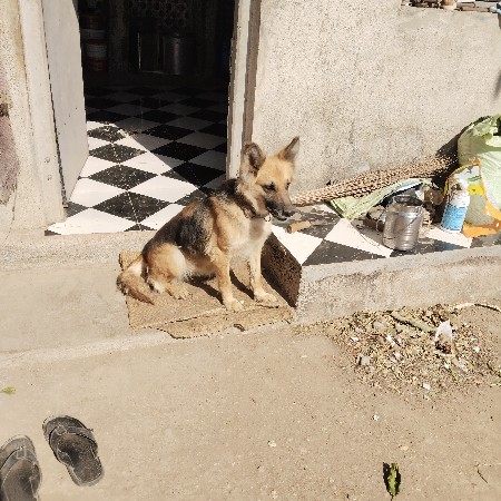 થંબનેલ 2