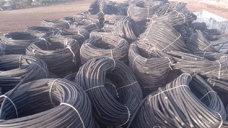 थंबनेल 5