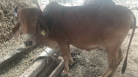 थंबनेल 3