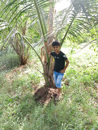 હીજારોઆપવાનોછે