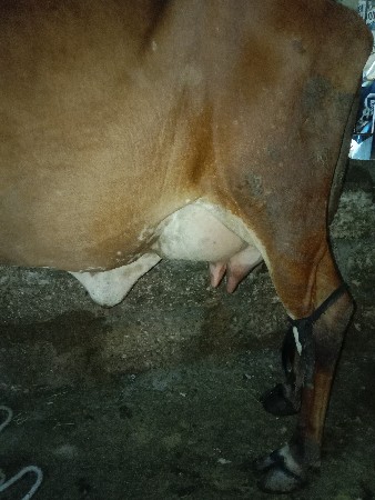 थंबनेल 3