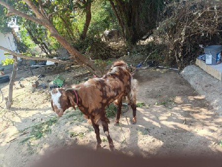 थंबनेल 2