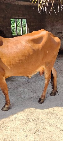 थंबनेल 2