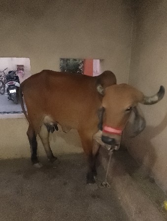 थंबनेल 3