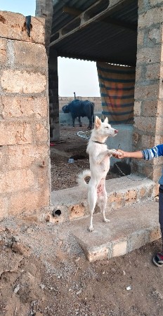 थंबनेल 2