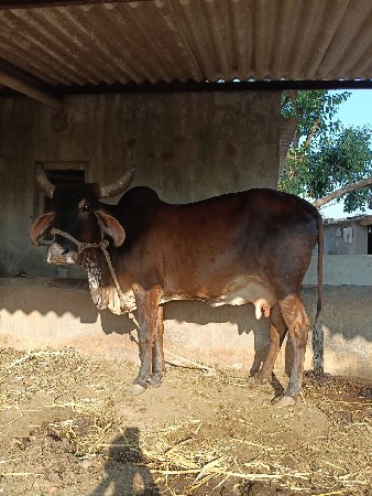 थंबनेल 2