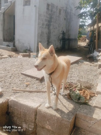 थंबनेल 3