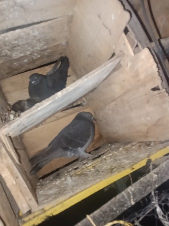 थंबनेल 2