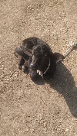 थंबनेल 5