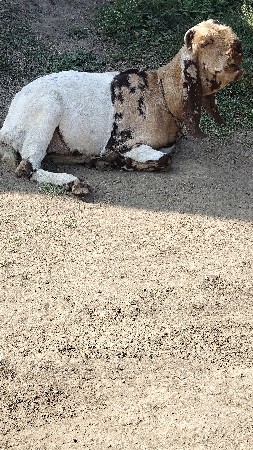 थंबनेल 2