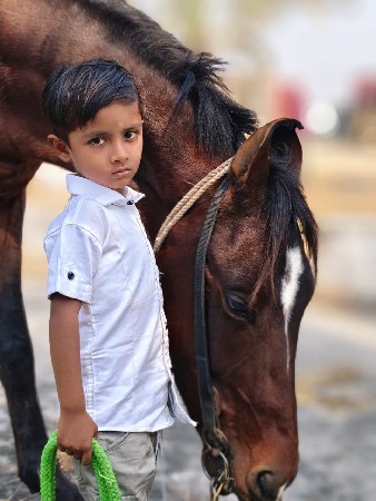 થંબનેલ 2