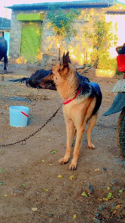 થંબનેલ 3